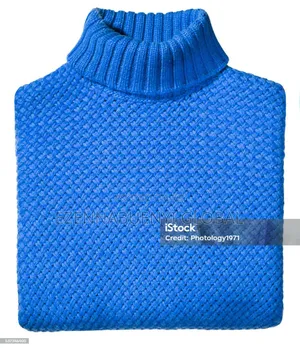 Turtle Neck