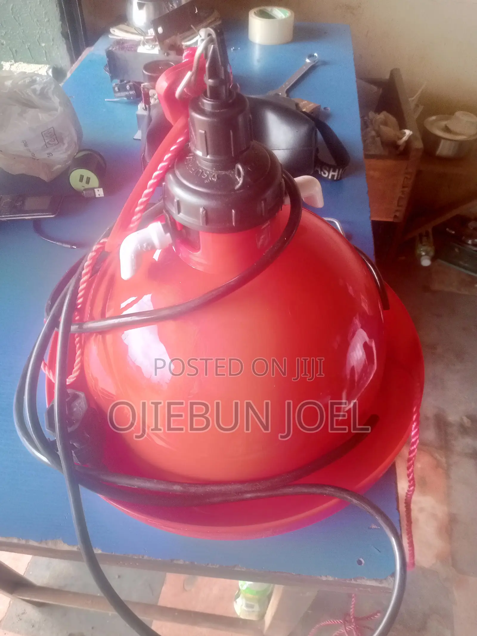 Indian Bell Drinker