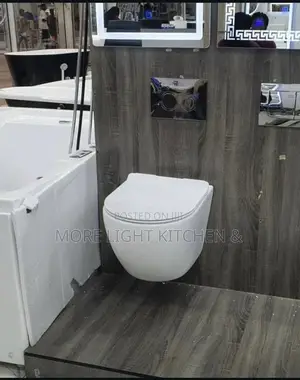 White Egg Shape Water Closet