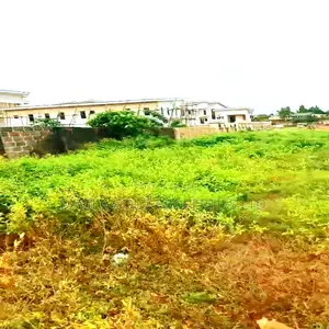 Amazing Offer, Land for Sale Along to Tarred Close