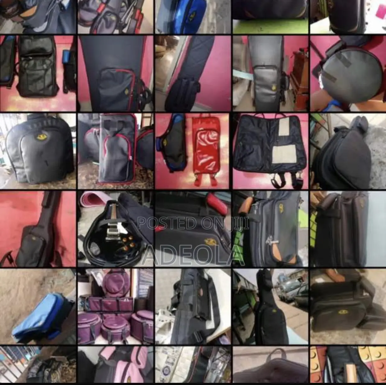 Professional Padded Saxophone Bag