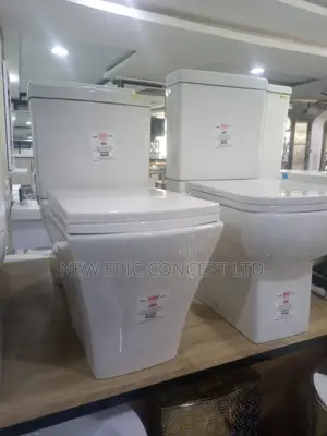 Special Master Seat With Wash Hand Basin
