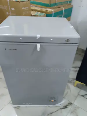 Portable Hisense 90L Chest Freezer Fc120sh
