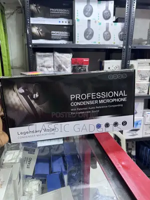 Bm 800 Professional Condenser Microphone
