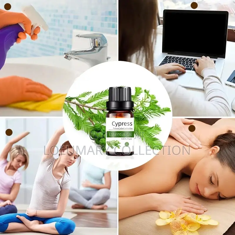 Humidifier Essential Oil Diffuser Essential Oil