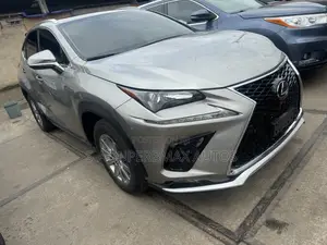 Lexus NX 300 AWD 2017 Gray