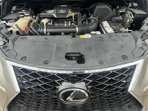 Lexus NX 300 AWD 2017 Gray