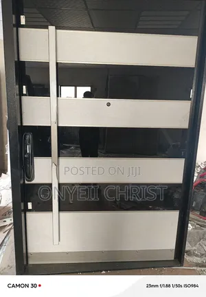 Pivot Security Door