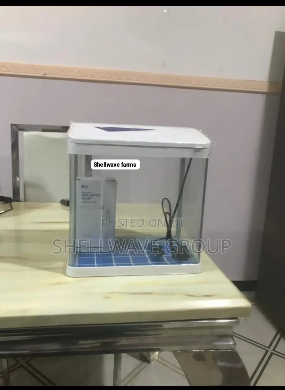 11liters Aquarium With Filter and Light