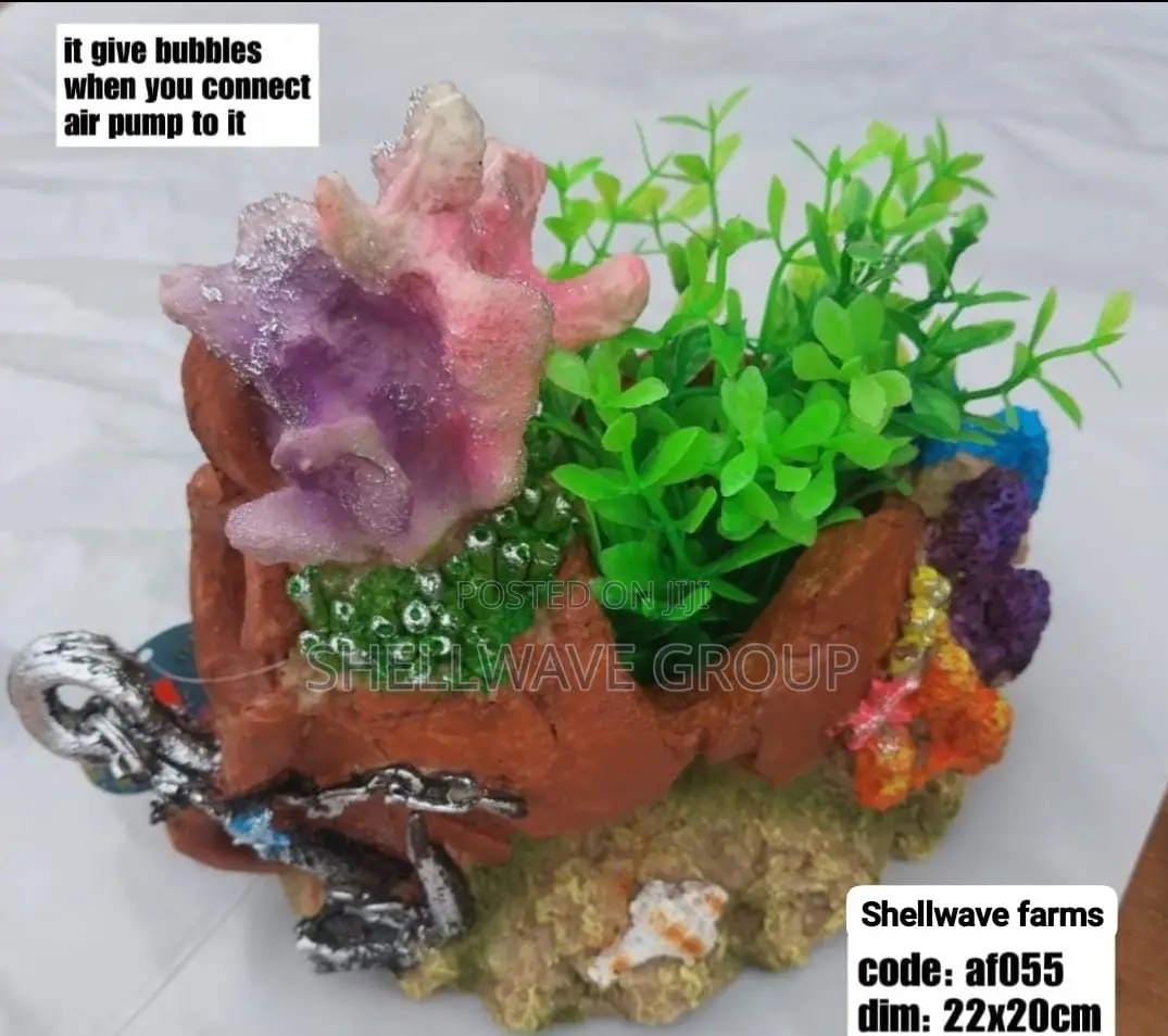 Bubble Coral Reef