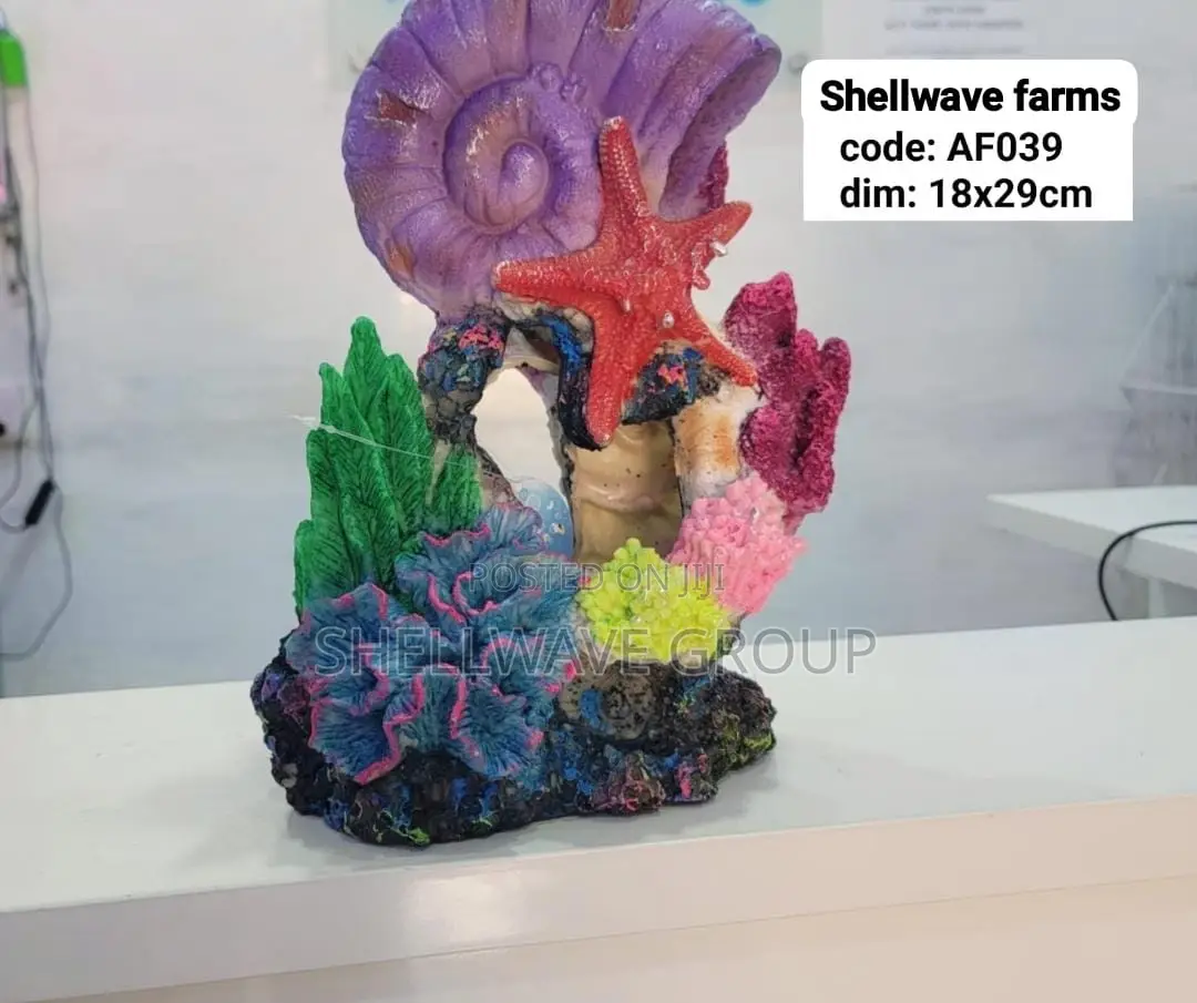 Coral Reef