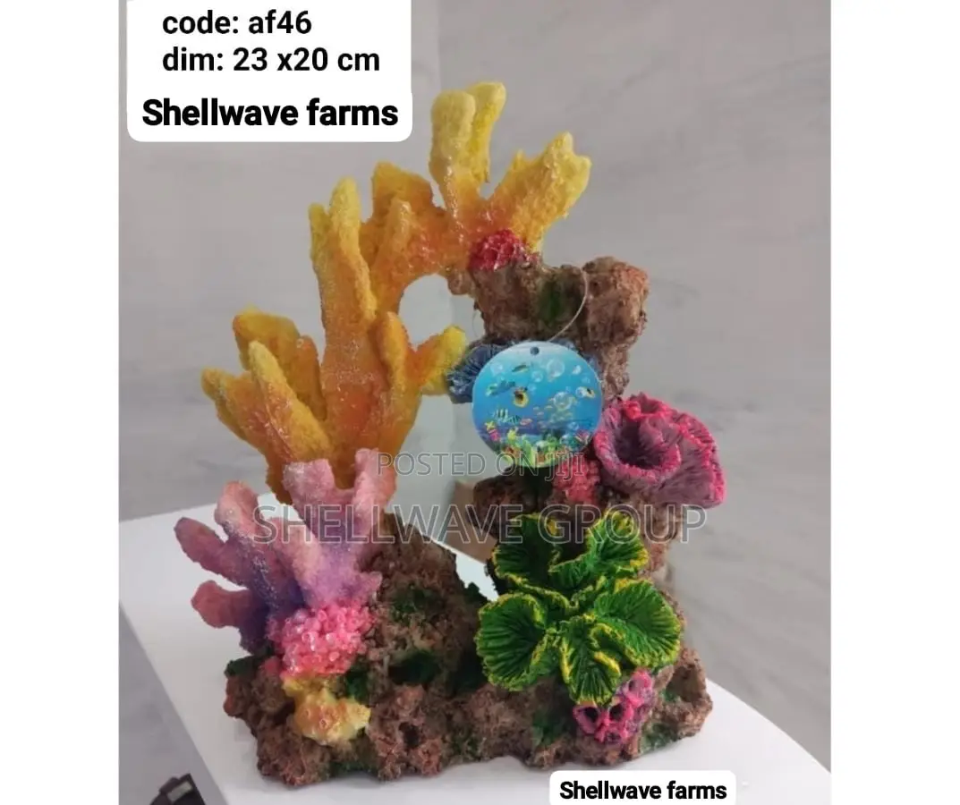 Coral Reef Decoration