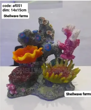 Coral Reef Decoration