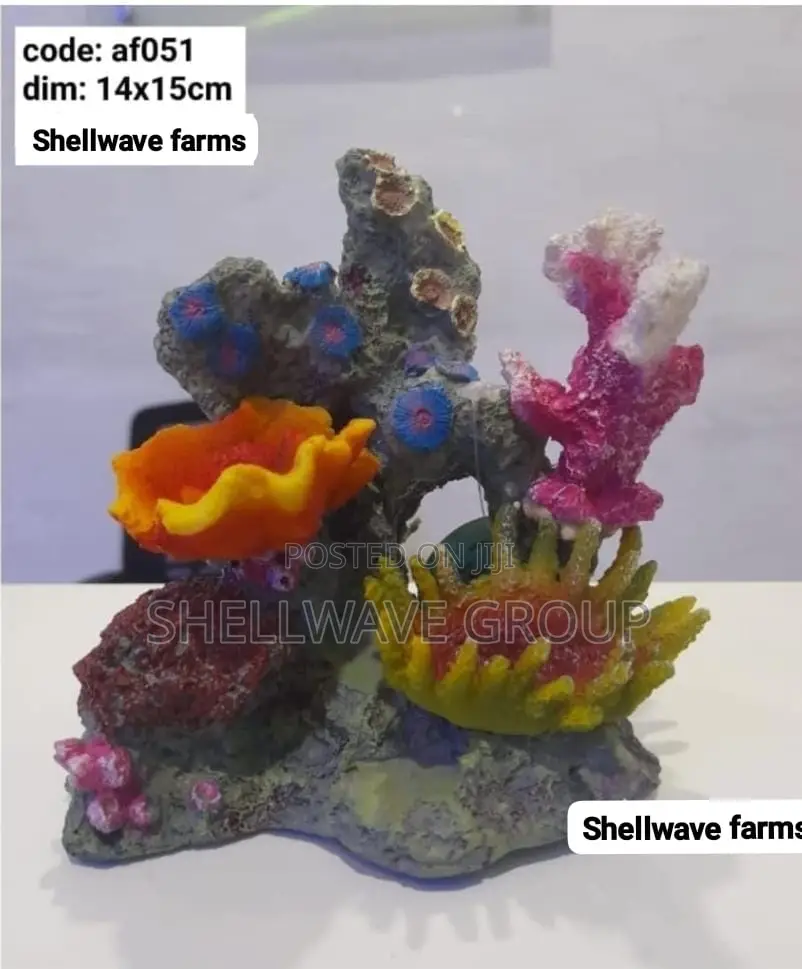 Coral Reef Decoration