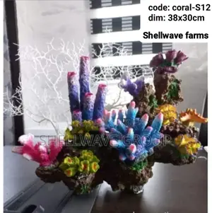 Massive Coral Reef Decoration