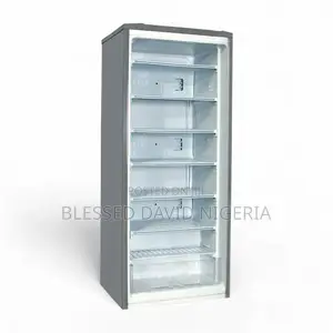 Lg Gn-304sq 168l Standing Freezer - Lgfrz304r