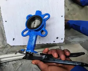 2" Steel Wafer Butterfly Valve