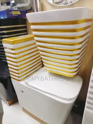 Gold and White Standard WC