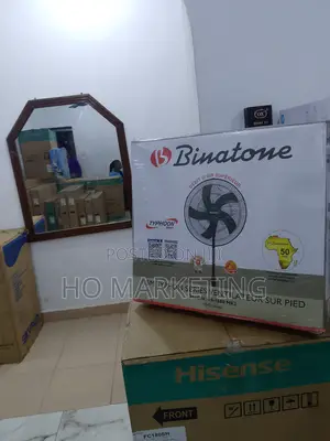 Reliablle Binatone 18" Standing Fan
