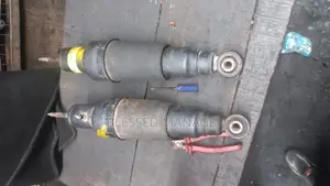 Balloon for Qx80 and Qx56