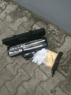 Professional Quality Iron Flute