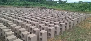 Blocks __Sales and Supplies of High-Quality Blocks Within Ib