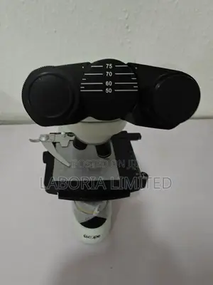 Iscope Binocular Microscope