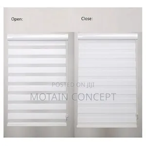 Classic Day and Night Window Blinds