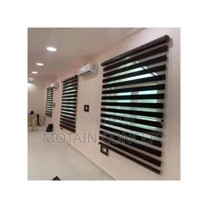 Extraordinary Ordinary Day and Night Window Blinds