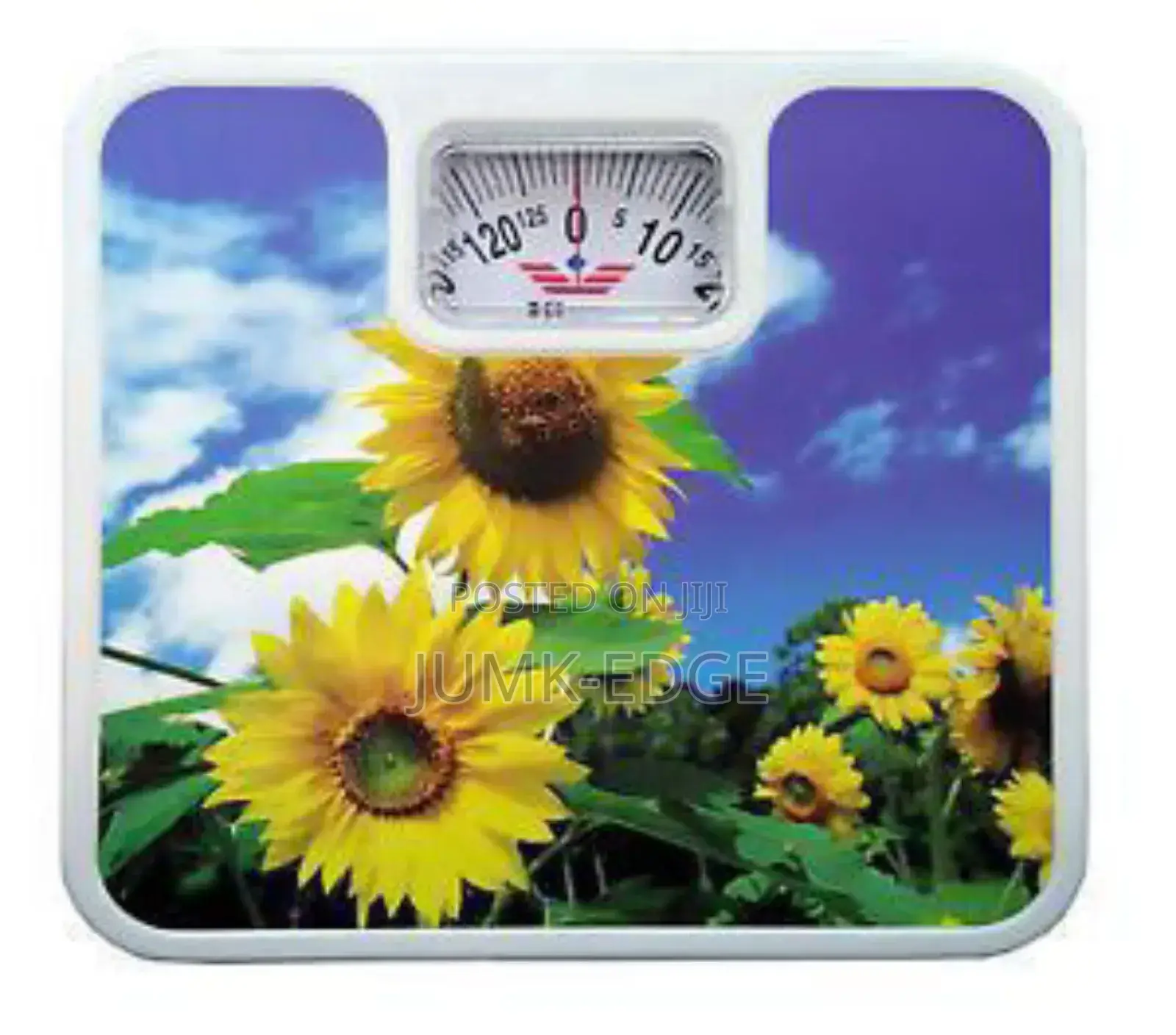 Health Scale