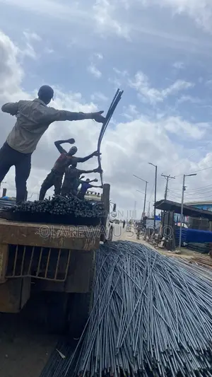 Standard Local and TMT Iron Rods