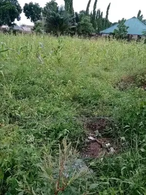 Executive 2 Plots of Land at Amadi Ama at 60mil