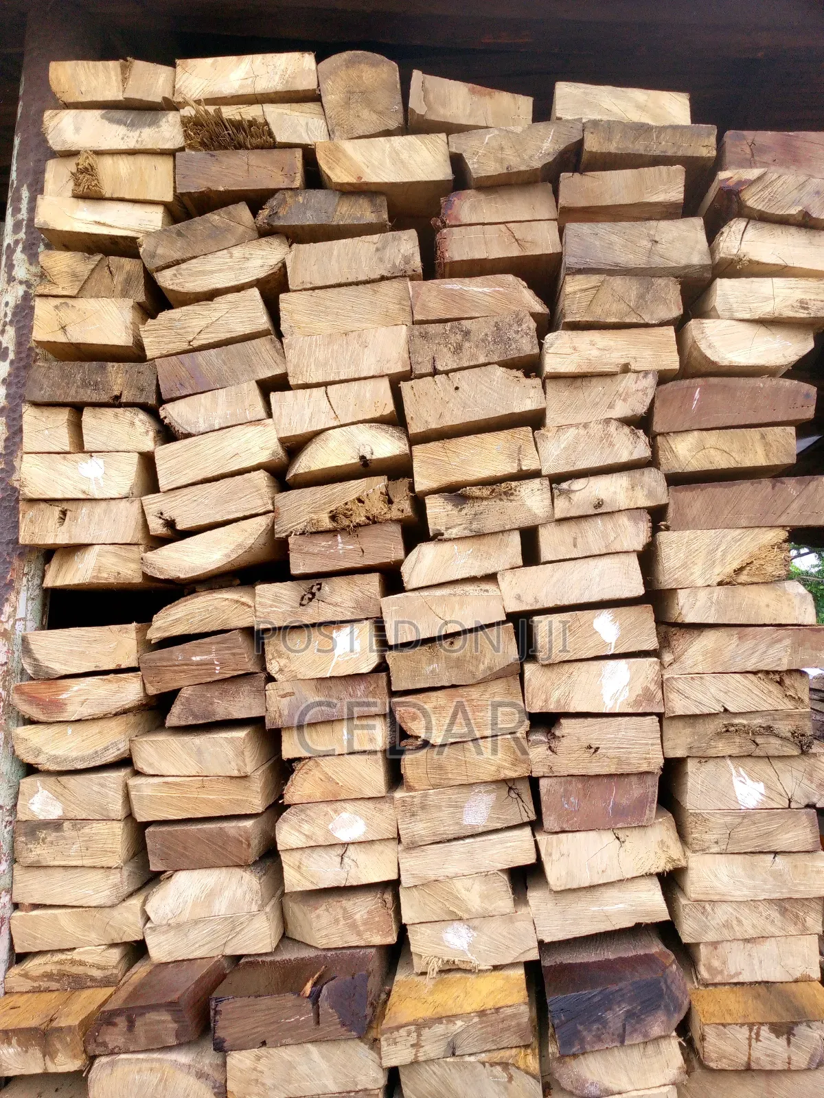 Cubbies Timber 2in1