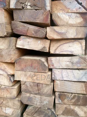 Cubbies Timber 2in1