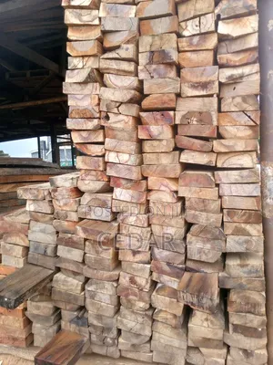Cubbies Timber 2in1
