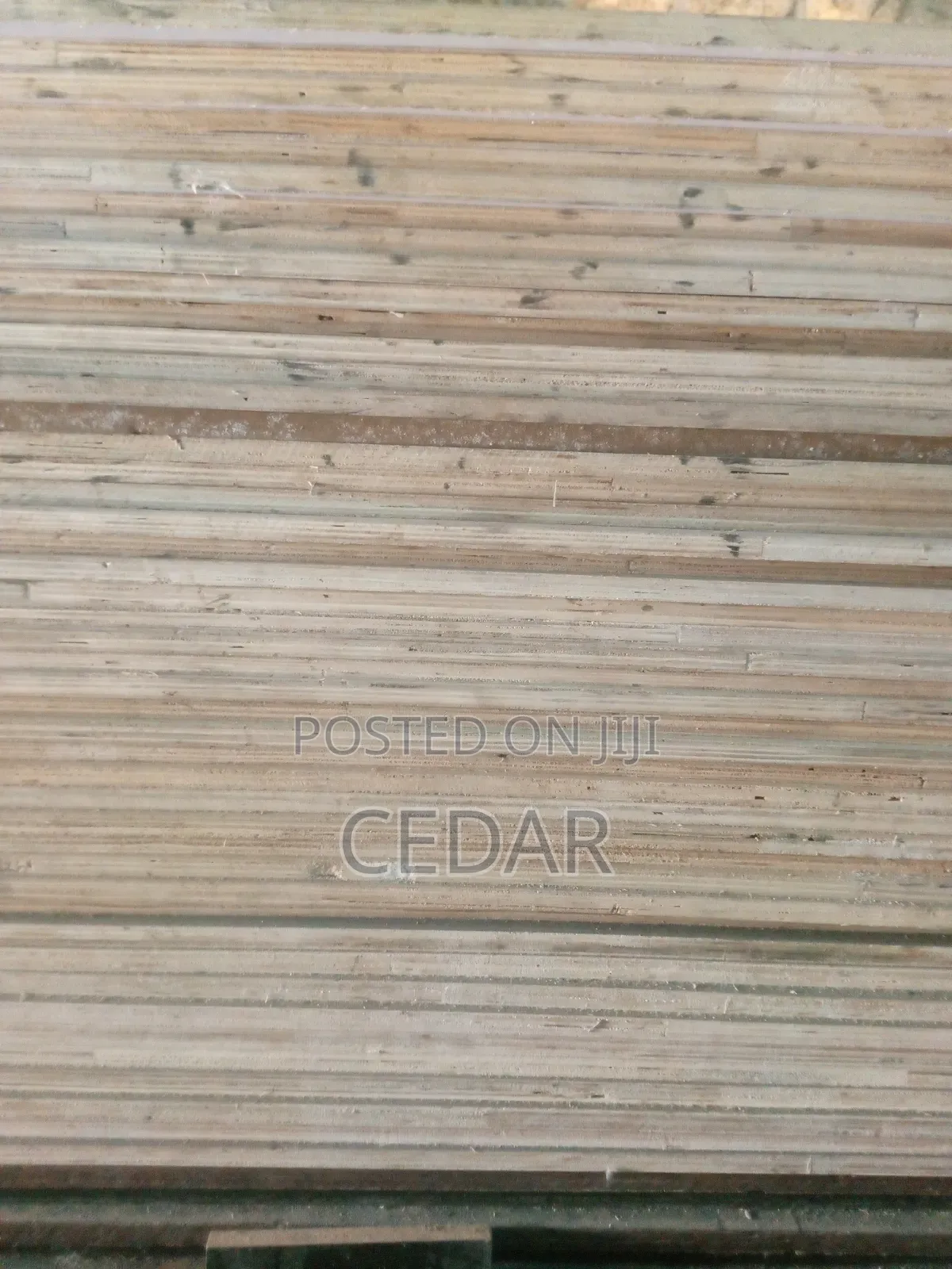 Naked Plywood
