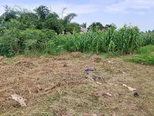 This Is 1000 SQM of Land at Refiners Estate Sale 50m