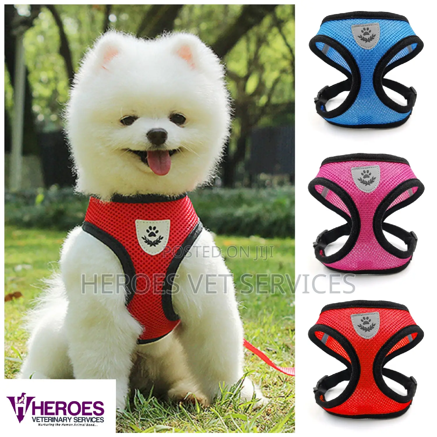 Pet Harness and Leash Set