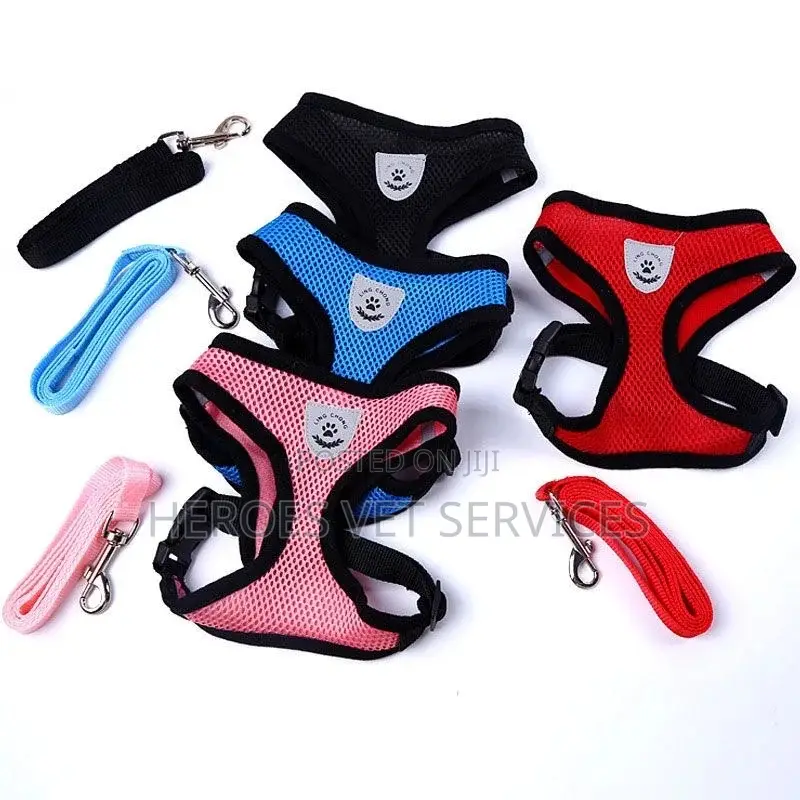Pet Harness and Leash Set