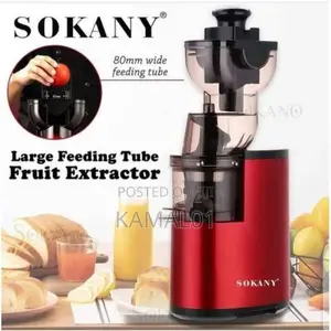 300w 8cm Big Mouth Cold Press Commercial Fruit Machine