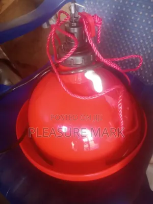 Indian Bell Drinker