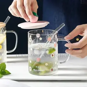 Fruit Straw Glass Cup Transparent Straw Handle Mug Office