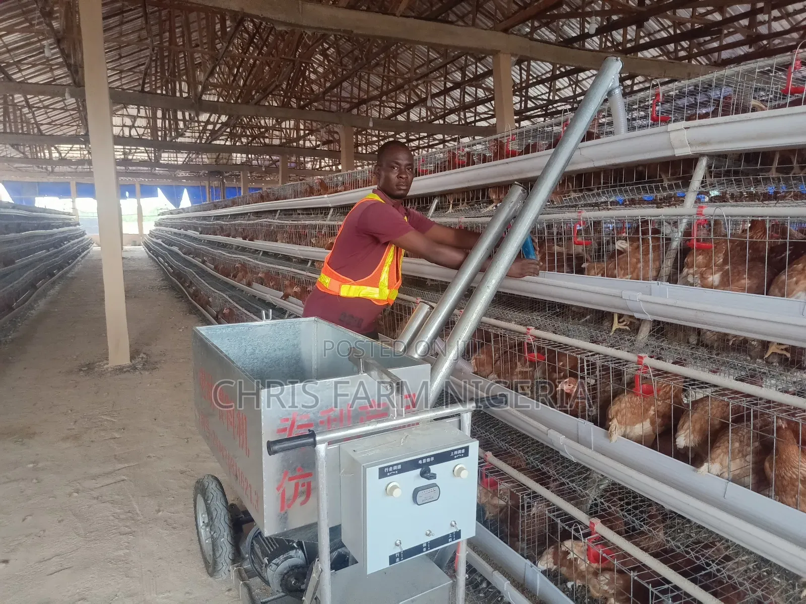 Poultry Batterycage Feeding Trolley