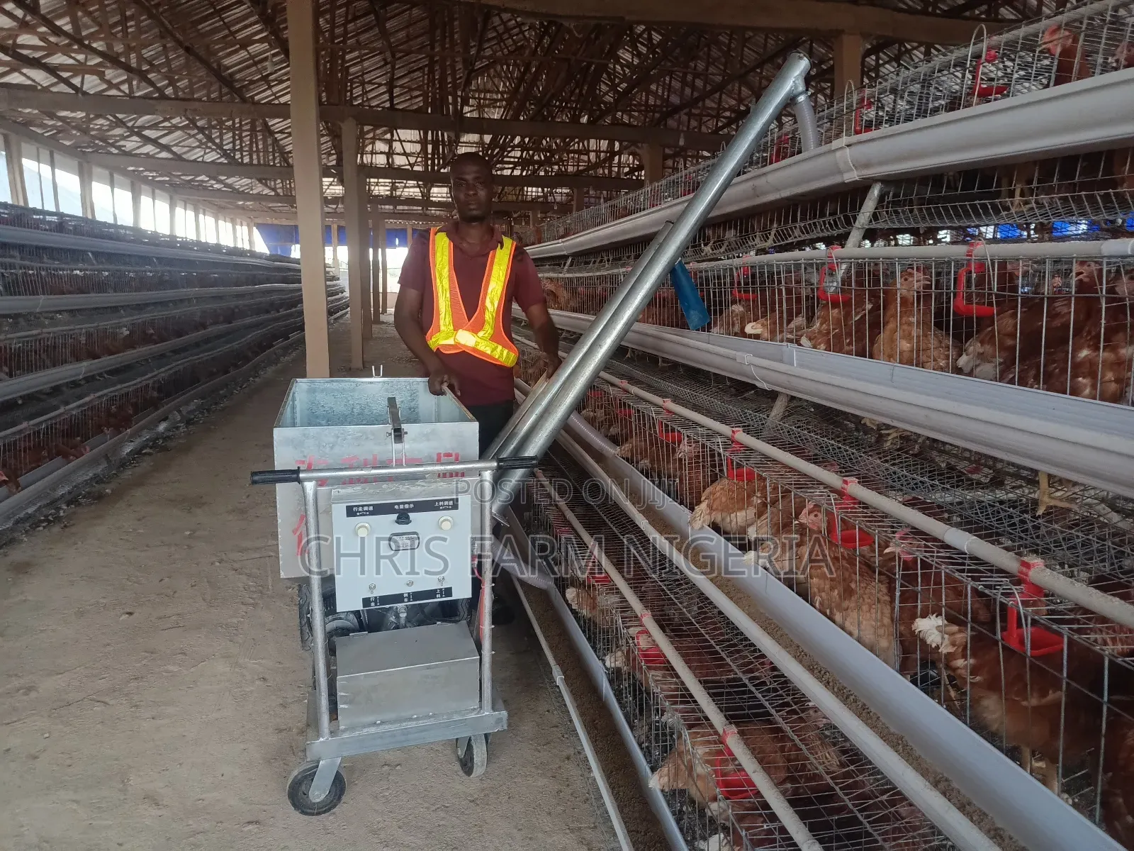Poultry Cages Feeding Trolley