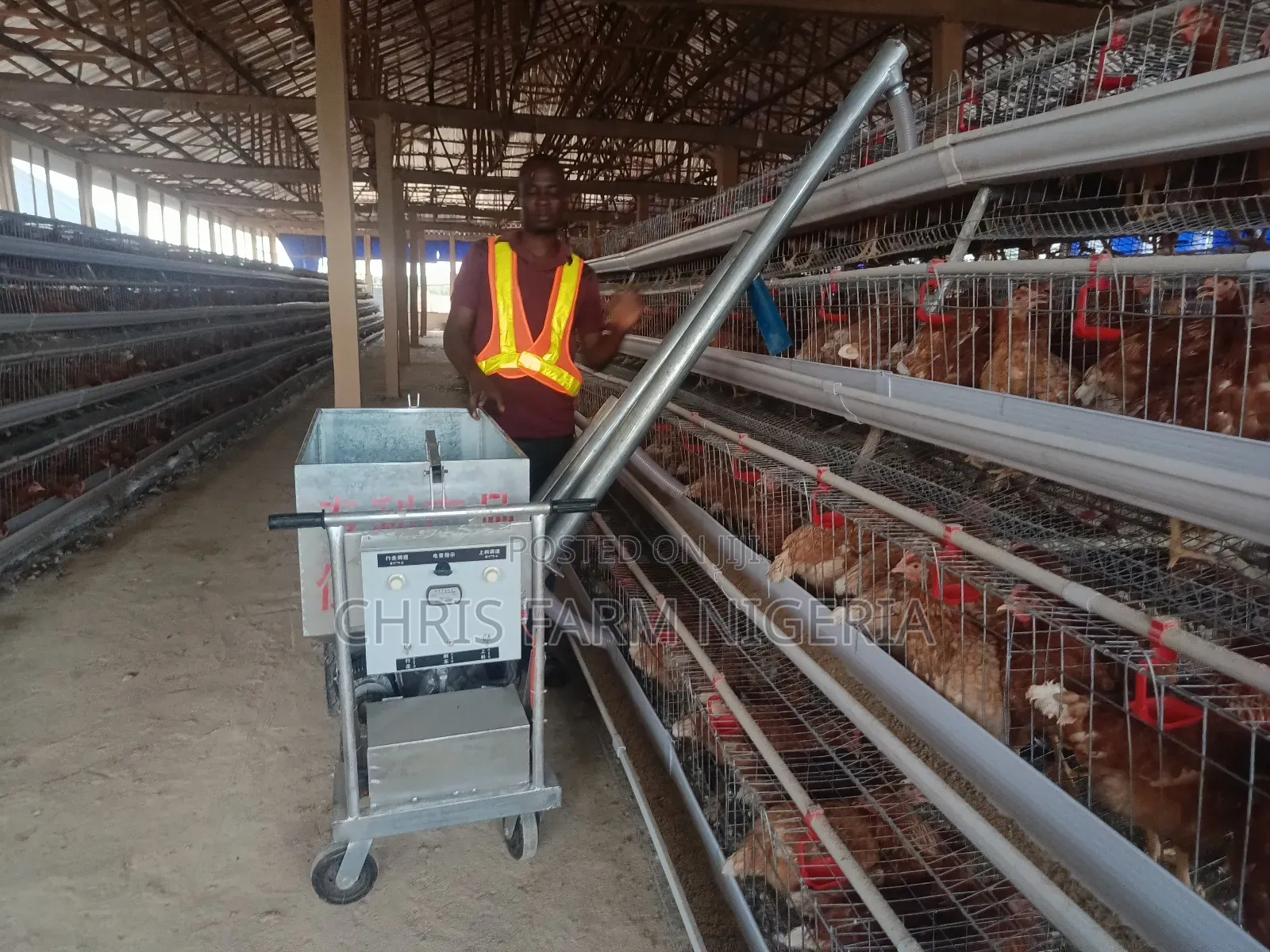 Poultry Cages Feeding Trolley