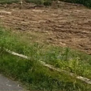 Dry And Well Located Land For Sale