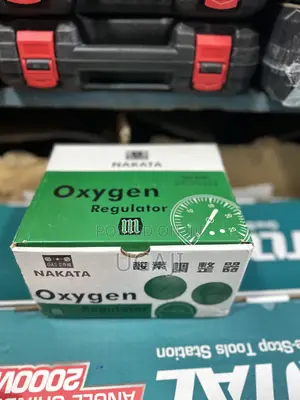 Nakata Gauge