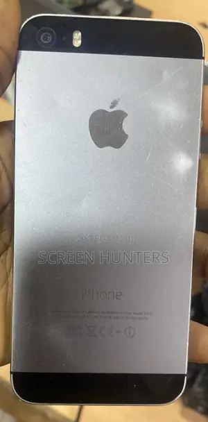 Apple iPhone 5s 16 GB Gray