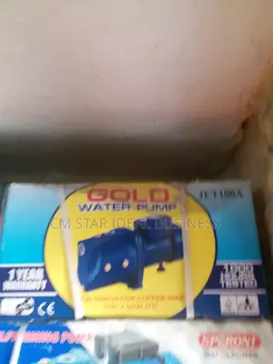 Gold Suface Water Pump 1hp Copper With Temostart