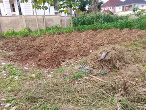 1300 SQM of Land at New Haven Extension Near to Free World L
